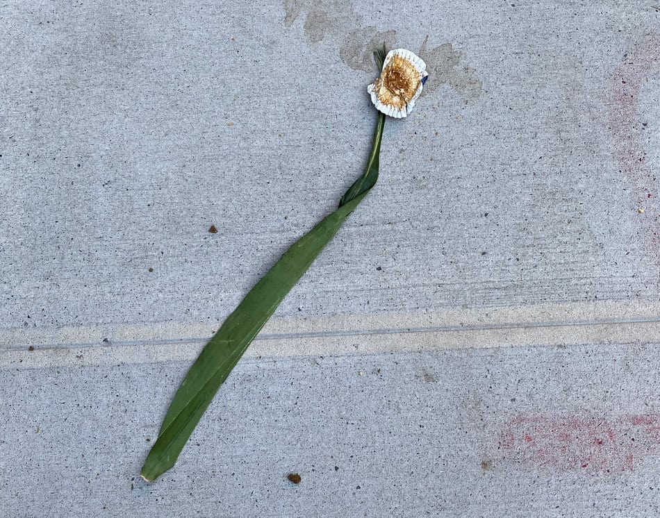 Art on the sidewalk in NYC, looks like a flower