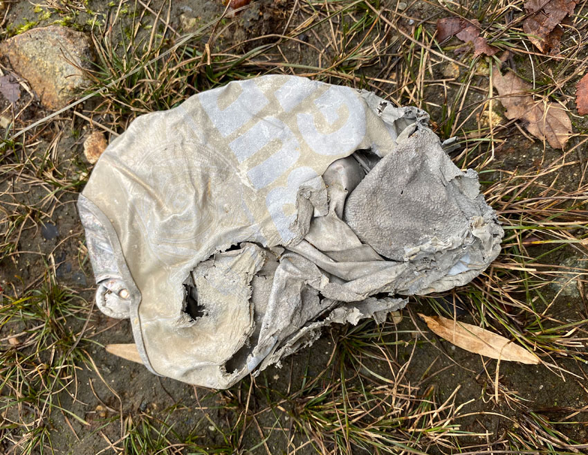 A smashed and faded can of Bud Light, found in Harriman State Park.