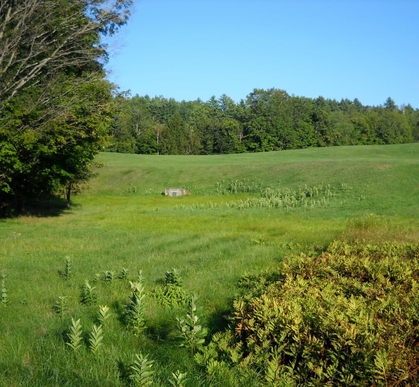 Small building in a field near Lake George