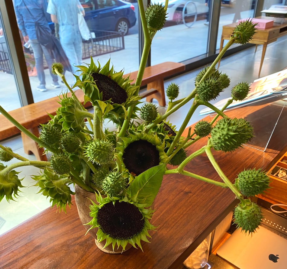 Unusual sunflowers seen at Pace Gallery