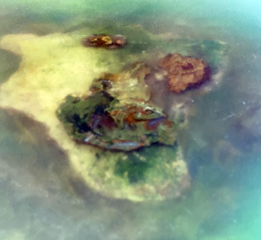 desert island under resin, view of a table top