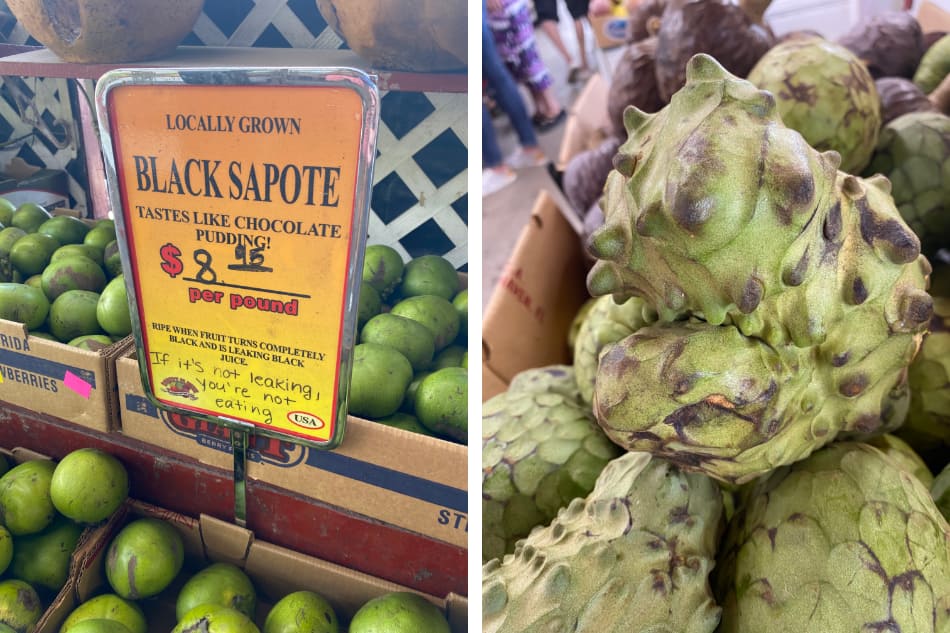 black sapote and cherimoya