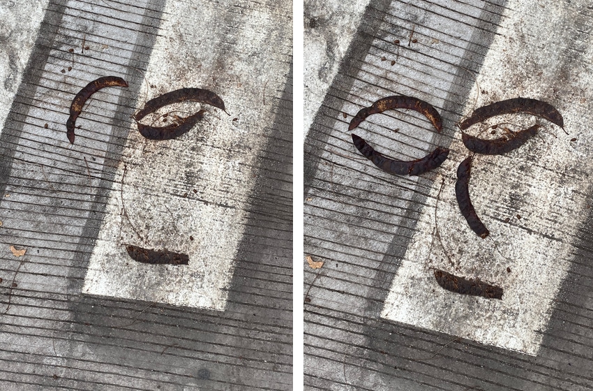 honey locust pods suggesting a face in the streets of Pittsburgh