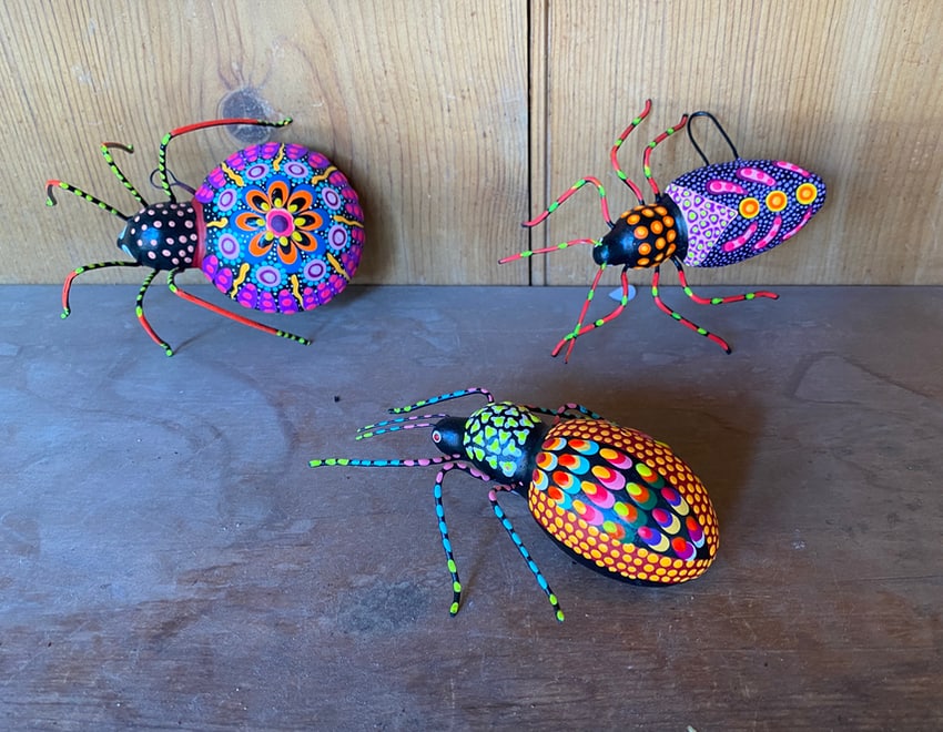 folk art painted bugs seen in Santa Fe, New Mexico