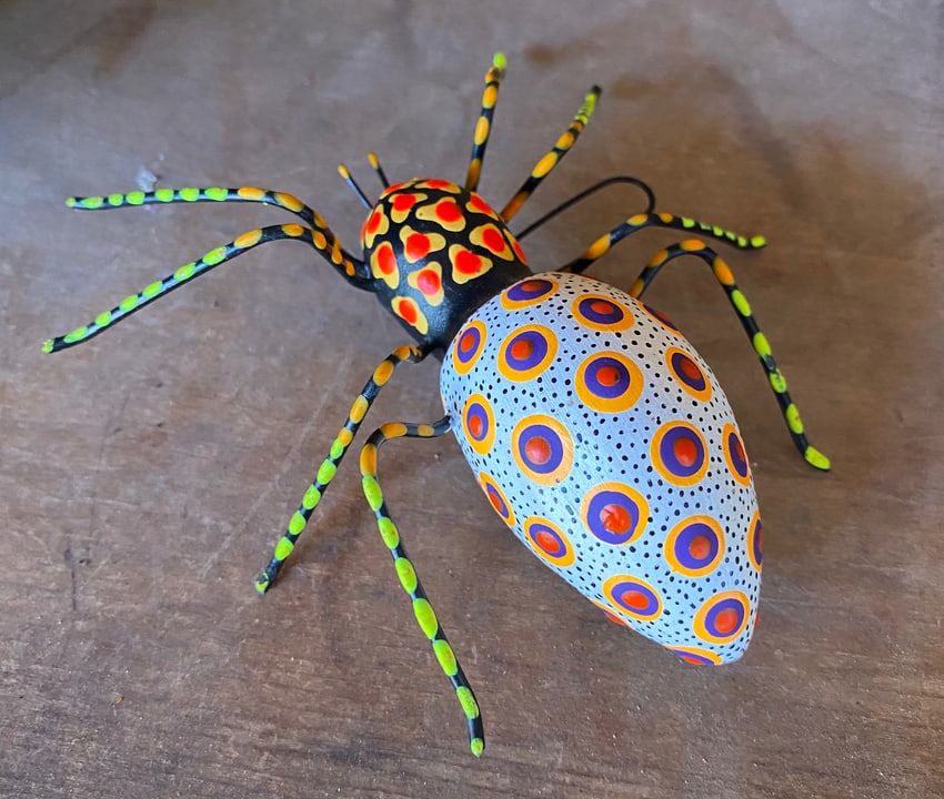 painted spider folk art seen in Santa Fe at The Rainbow Man