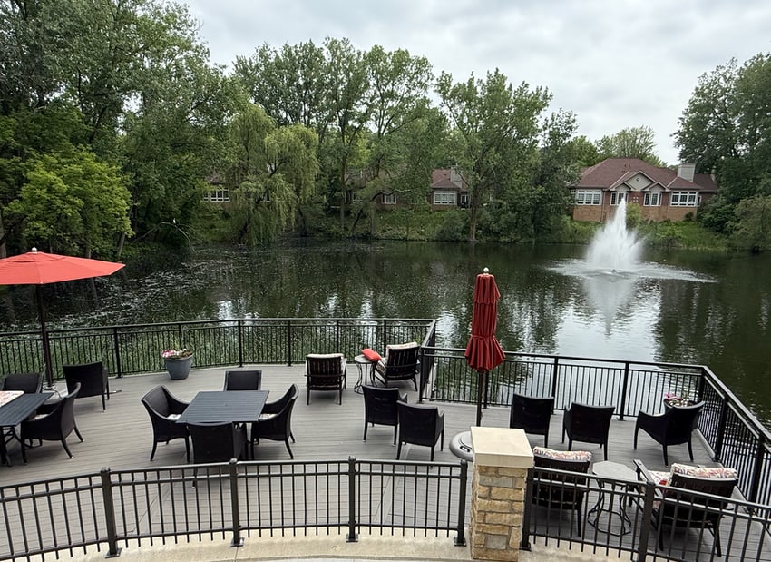 pond in Minnesota where I saw the egret