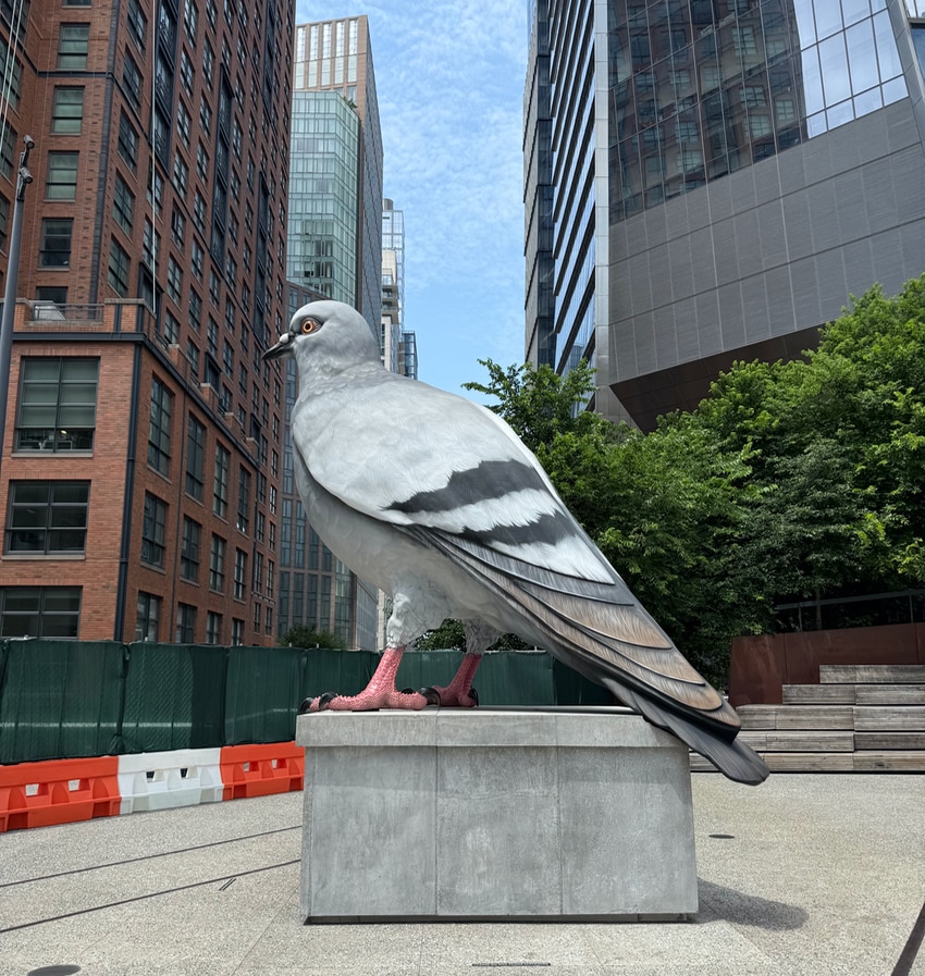 Ivan Argote pigeon sculpture in NYC