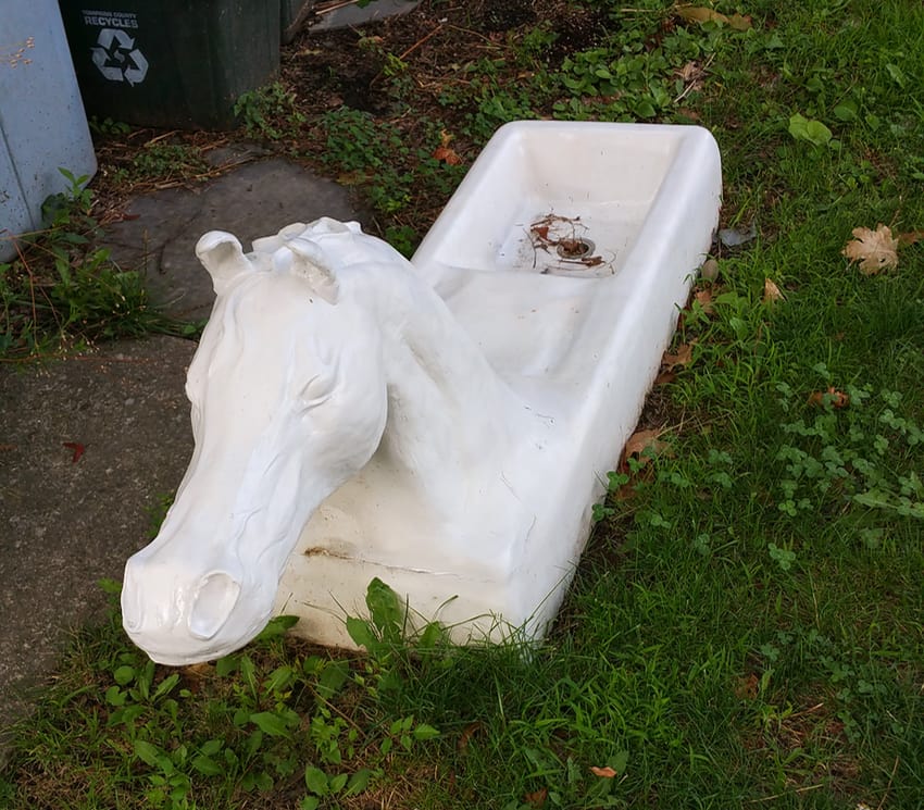 horse sink seen in Ithaca