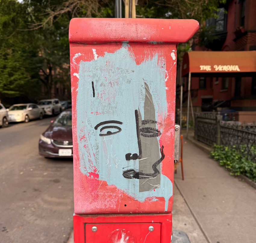 gray wash graffiti face in Park Slope