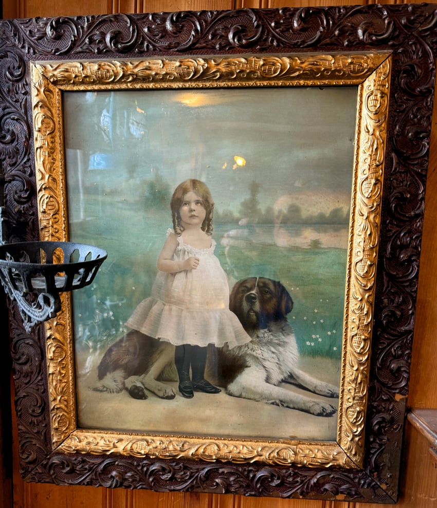 vintage photo of a girl with a Saint Bernard dog