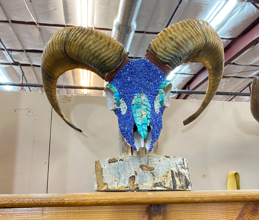 Ram skull with turquoise seen at the Railyard Artisan Market in Santa Fe.
