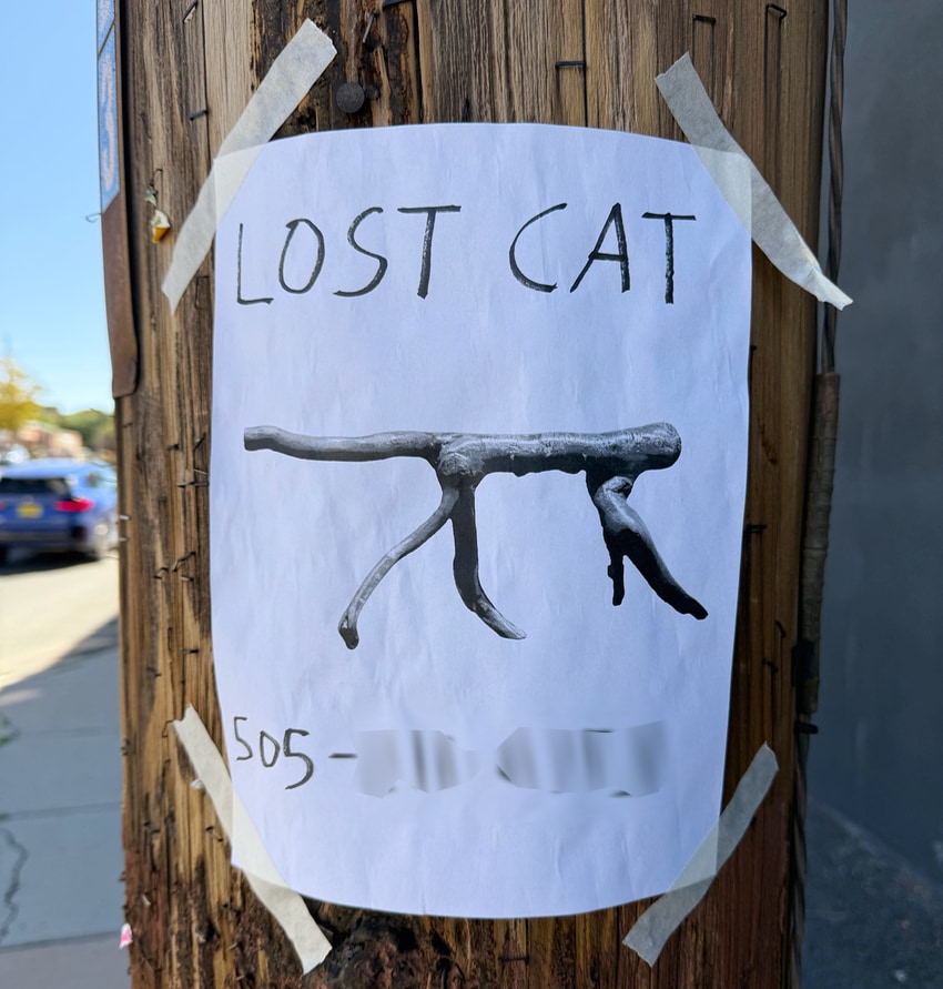 Lost cat sign in Santa Fe
