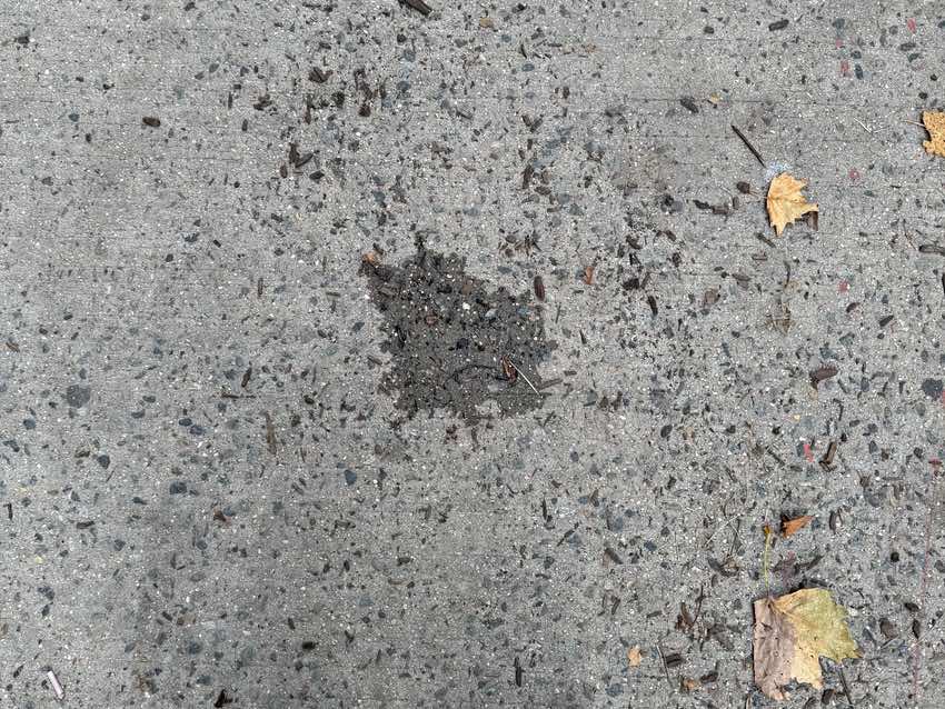 Seeing a face in the wet spot on a sidewalk in NYC