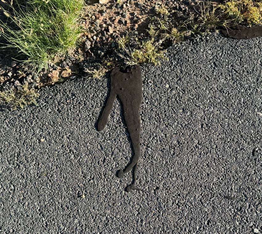 a tar drip on a paved path in Santa Fe