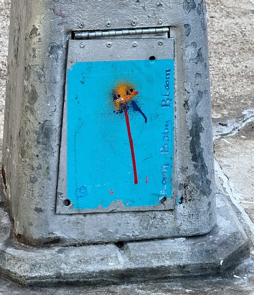 "Bloom Baby Bloom," street art seen in NYC.