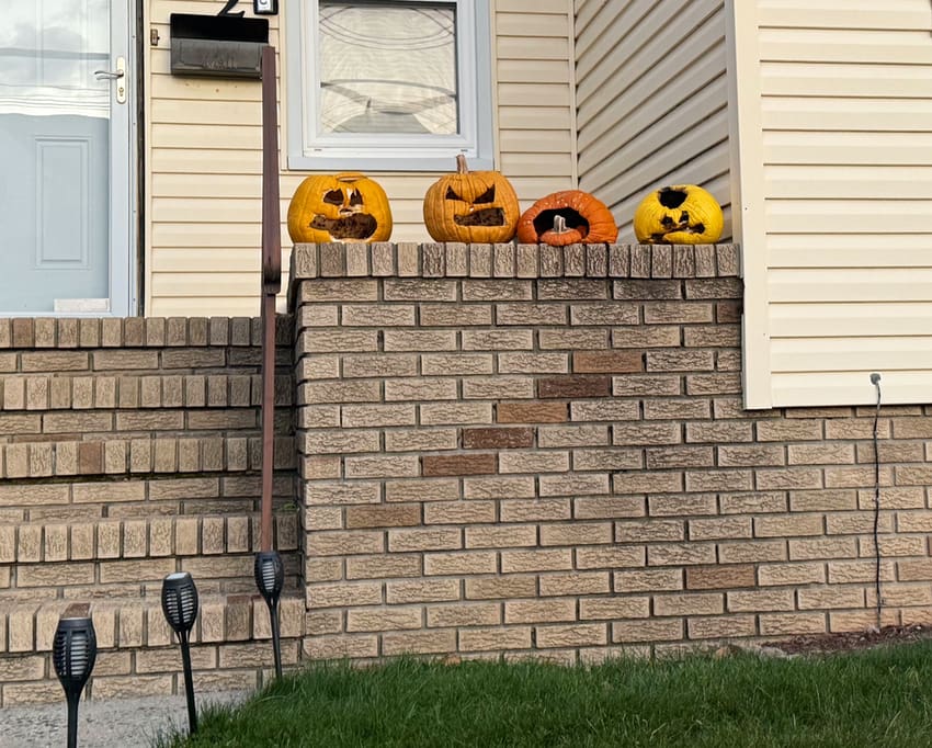 decaying Halloween pumpkins