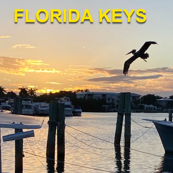 McKinney Arts explores Florida Keys